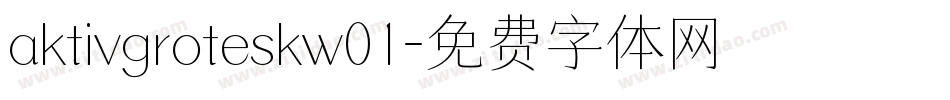 aktivgroteskw01字体转换