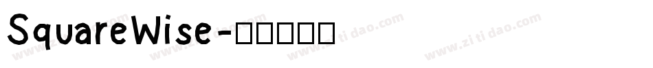 SquareWise字体转换