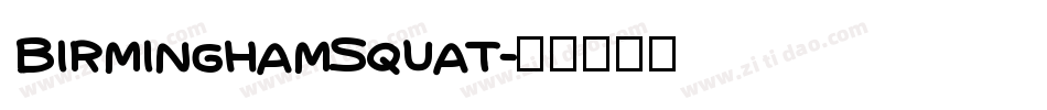 BirminghamSquat字体转换