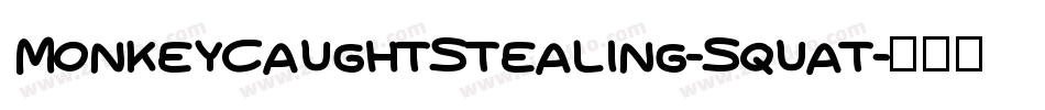 MonkeyCaughtStealing-Squat字体转换
