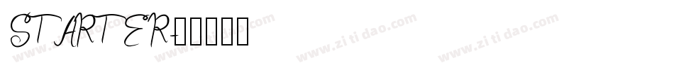 STARTER字体转换