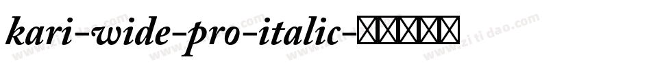 kari-wide-pro-italic字体转换
