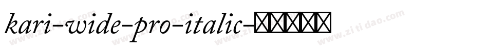 kari-wide-pro-italic字体转换