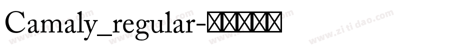 Camaly_regular字体转换