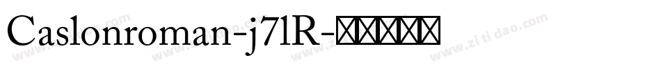 Caslonroman-j7lR字体转换