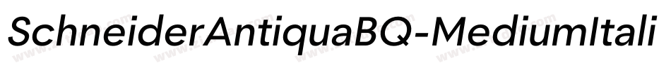 SchneiderAntiquaBQ-MediumItalic字体转换