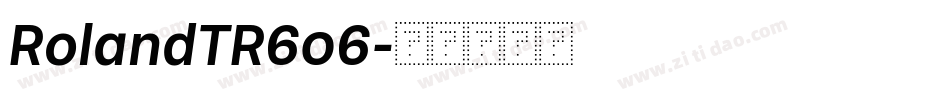 RolandTR606字体转换
