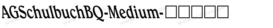 AGSchulbuchBQ-Medium字体转换