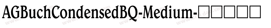 AGBuchCondensedBQ-Medium字体转换