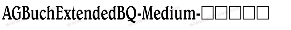 AGBuchExtendedBQ-Medium字体转换