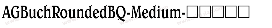 AGBuchRoundedBQ-Medium字体转换