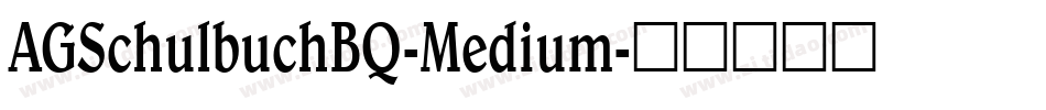 AGSchulbuchBQ-Medium字体转换