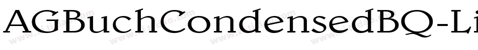 AGBuchCondensedBQ-LightItalic字体转换