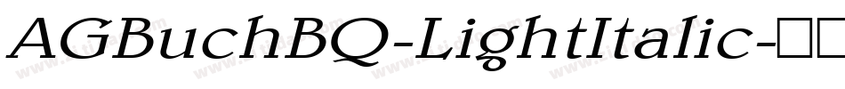 AGBuchBQ-LightItalic字体转换