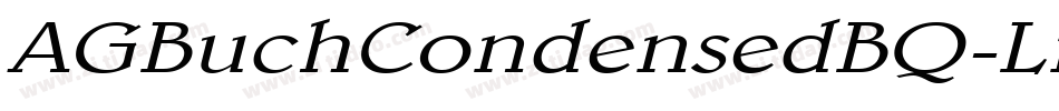 AGBuchCondensedBQ-LightItalic字体转换