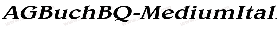 AGBuchBQ-MediumItalic字体转换