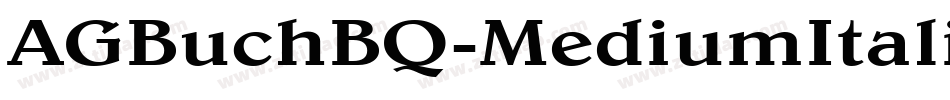 AGBuchBQ-MediumItalic字体转换