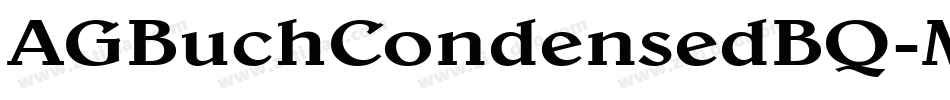 AGBuchCondensedBQ-Medium字体转换