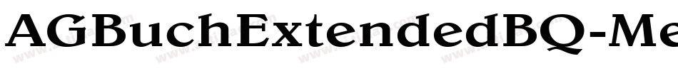 AGBuchExtendedBQ-Medium字体转换
