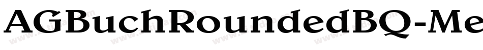 AGBuchRoundedBQ-Medium字体转换