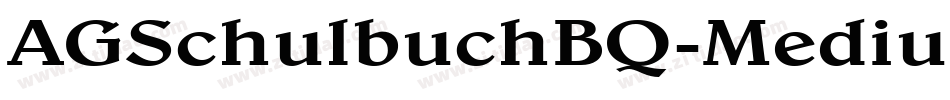 AGSchulbuchBQ-Medium字体转换