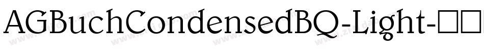 AGBuchCondensedBQ-Light字体转换
