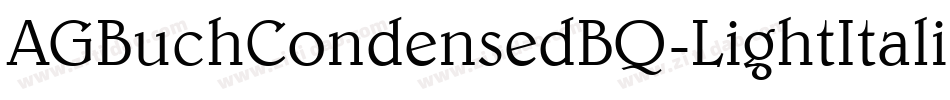 AGBuchCondensedBQ-LightItalic字体转换