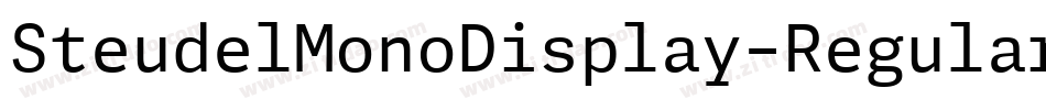 SteudelMonoDisplay-Regular字体转换