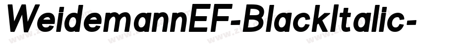 WeidemannEF-BlackItalic字体转换