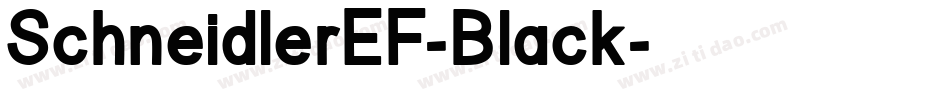 SchneidlerEF-Black字体转换