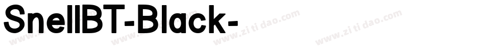 SnellBT-Black字体转换