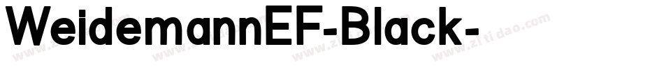 WeidemannEF-Black字体转换