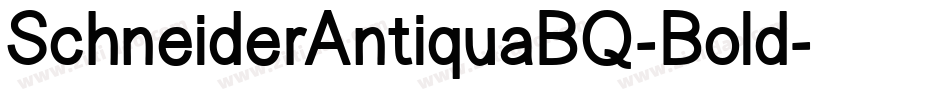SchneiderAntiquaBQ-Bold字体转换