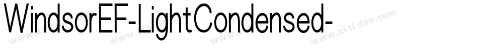 WindsorEF-LightCondensed字体转换