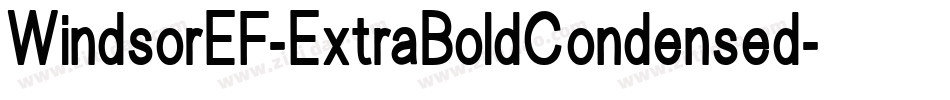 WindsorEF-ExtraBoldCondensed字体转换