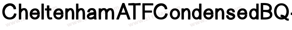 CheltenhamATFCondensedBQ-BoldExtra字体转换