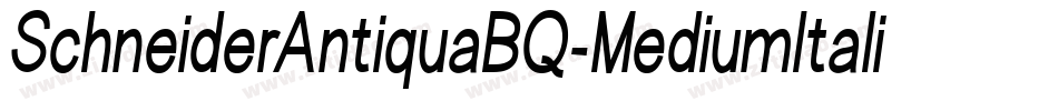 SchneiderAntiquaBQ-MediumItalic字体转换