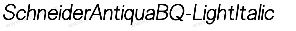 SchneiderAntiquaBQ-LightItalic字体转换