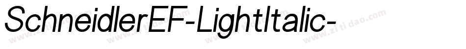 SchneidlerEF-LightItalic字体转换