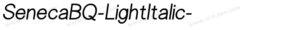 SenecaBQ-LightItalic字体转换