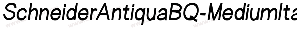 SchneiderAntiquaBQ-MediumItalic字体转换
