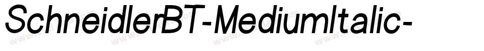 SchneidlerBT-MediumItalic字体转换