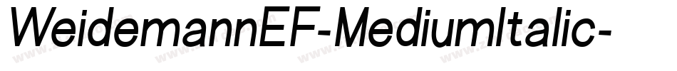 WeidemannEF-MediumItalic字体转换