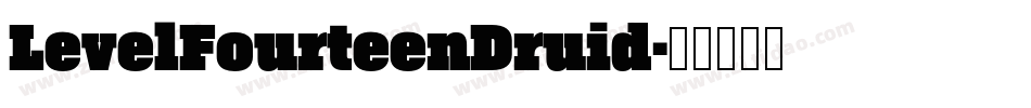 LevelFourteenDruid字体转换