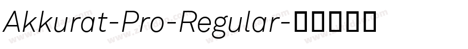 Akkurat-Pro-Regular字体转换