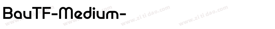 BauTF-Medium字体转换 BauTF-Medium字体转换