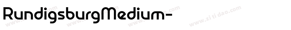 RundigsburgMedium字体转换