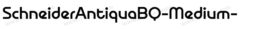 SchneiderAntiquaBQ-Medium字体转换