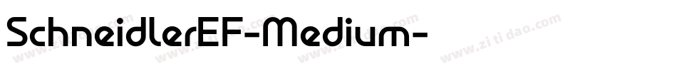 SchneidlerEF-Medium字体转换