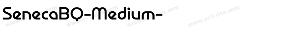 SenecaBQ-Medium字体转换